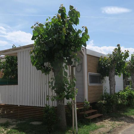 Camping Adriatico Martinsicuro Eksteriør bilde