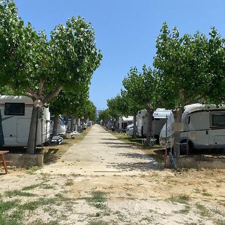 Camping Adriatico Martinsicuro Eksteriør bilde