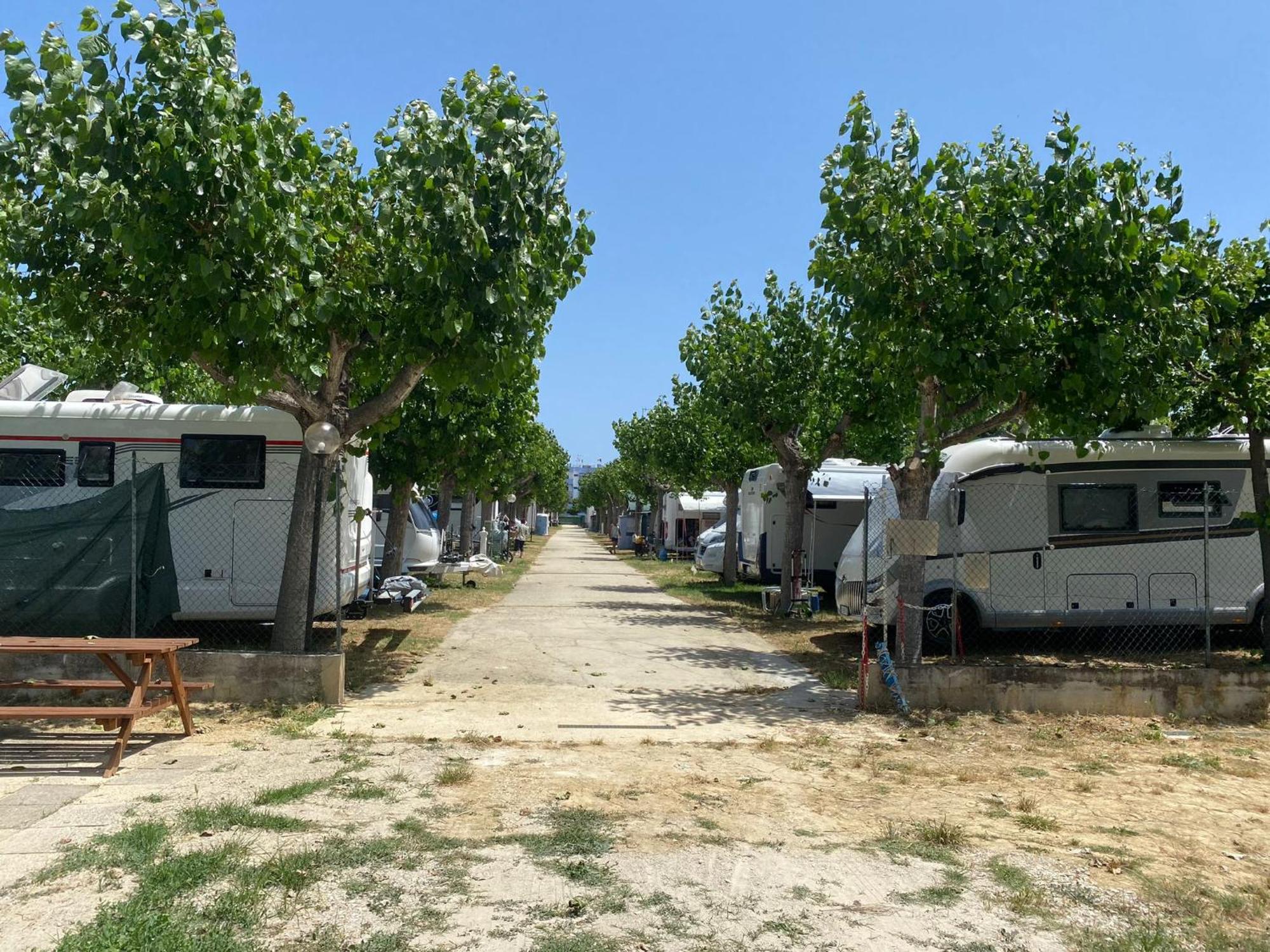 Camping Adriatico Martinsicuro Eksteriør bilde